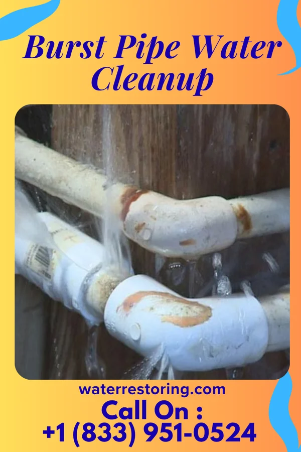 Burst Pipe Water Cleanup in Chestnut Ridge, NY