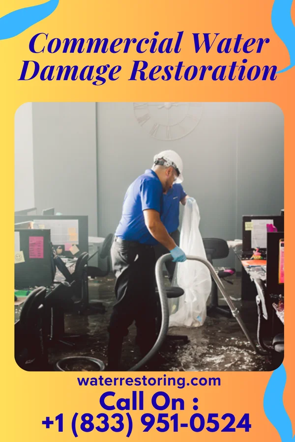 Commercial Water Damage Restoration in Chestnut Ridge, NY