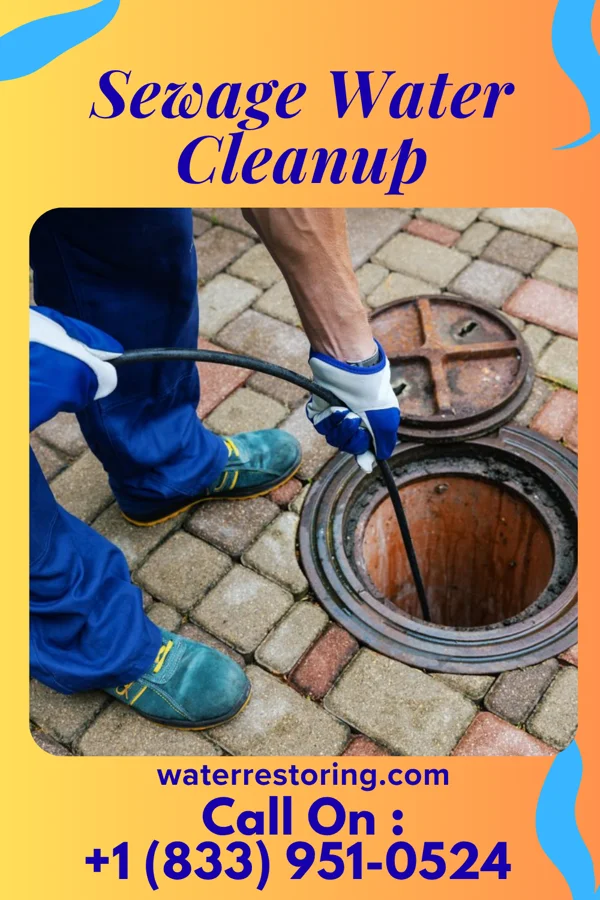 Sewage Water Cleanup in Chestnut Ridge, NY